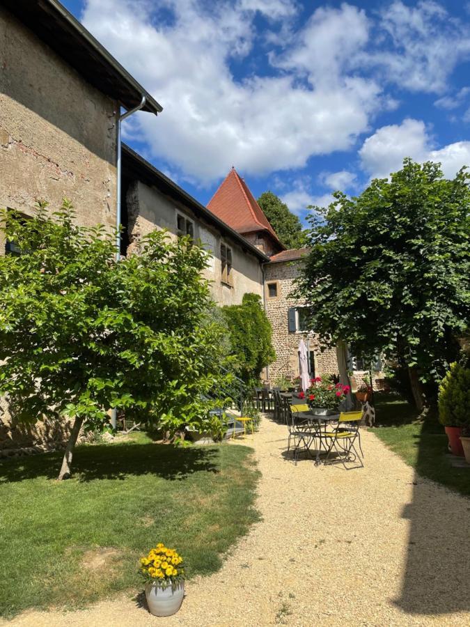 Chateau De La Saone Lens-Lestang Exterior photo